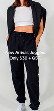 Load image into Gallery viewer, Thick fleece joggers with pockets.
