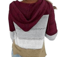 Load image into Gallery viewer, Long sleeve knit hollow out sweater with hood
