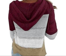 Load image into Gallery viewer, Long sleeve knit hollow out sweater with hood
