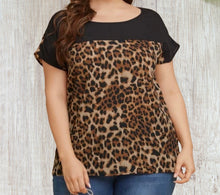 Load image into Gallery viewer, Leopard print short sleeve top with black contrast
