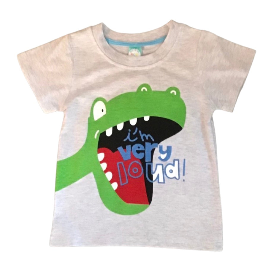 Boys t-shirt