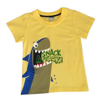 Load image into Gallery viewer, Boys t-shirt
