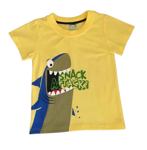 Boys t-shirt